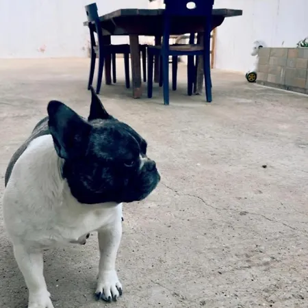 Feriehus House Into A Paradise Of Kéfalos