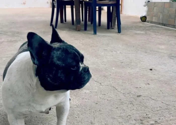 Сasa de vacaciones House Into A Paradise Of Kéfalos